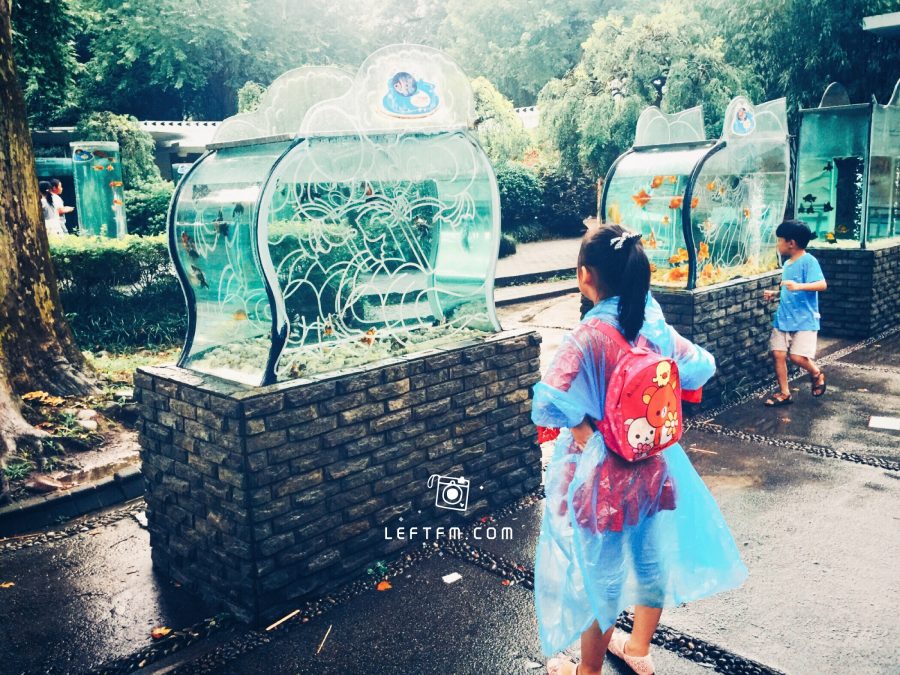 牵手去看：上海动物园