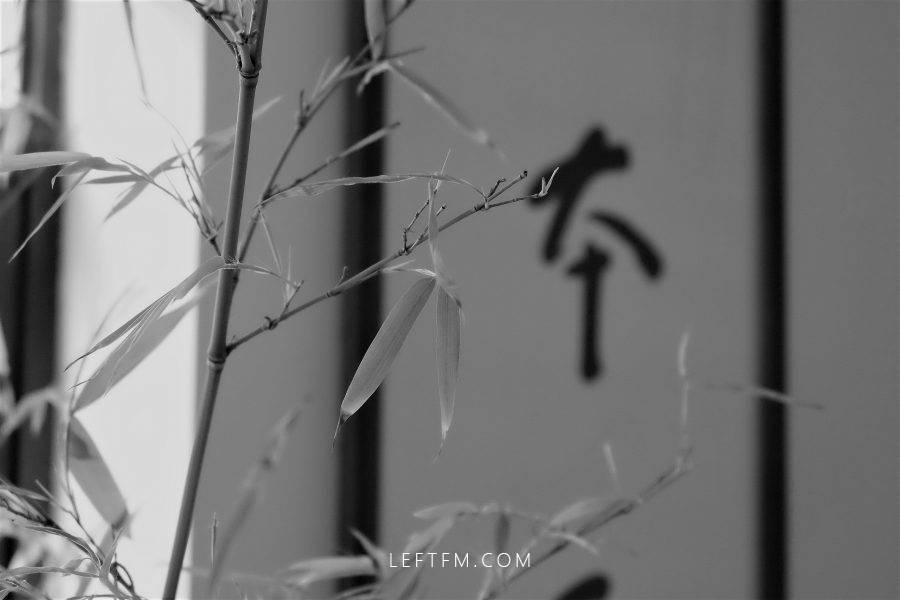 这一年，值得感谢的人很多