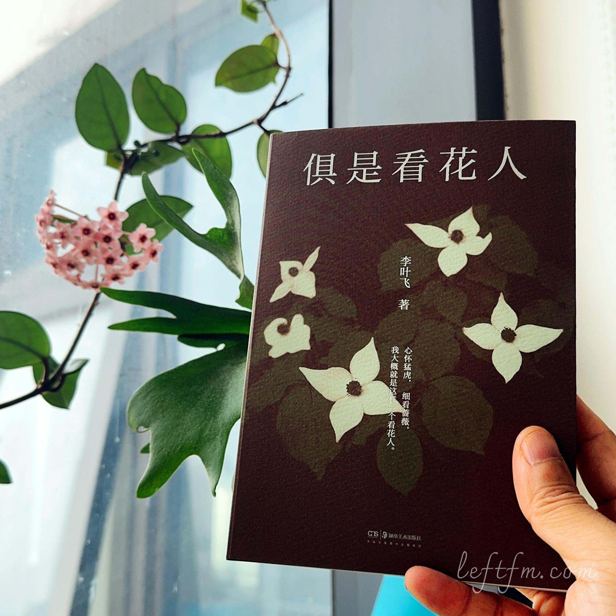 俱是看花人：乐于分享，又从来都不讲