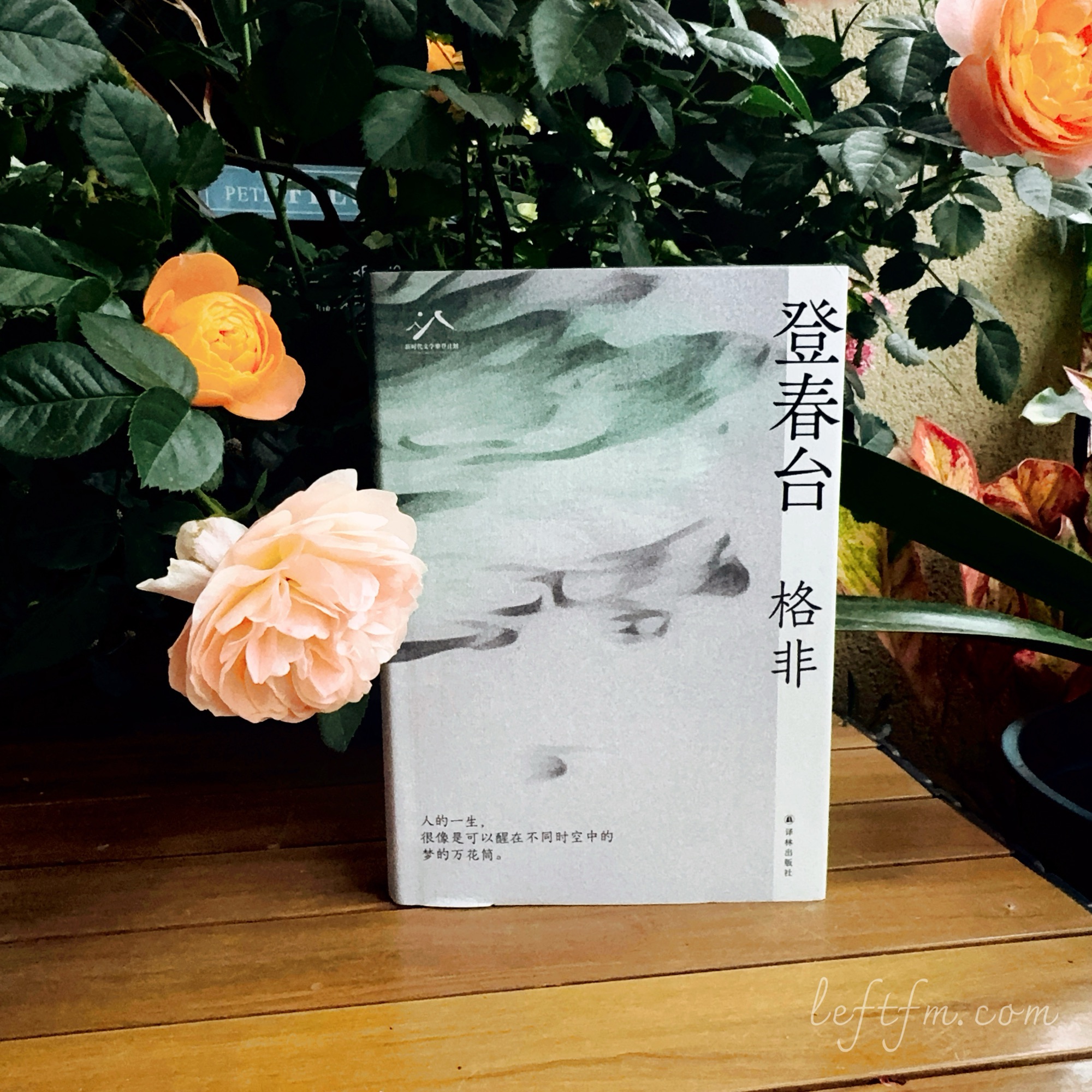 登春台：出乎意料的美妙与可预见的惊喜