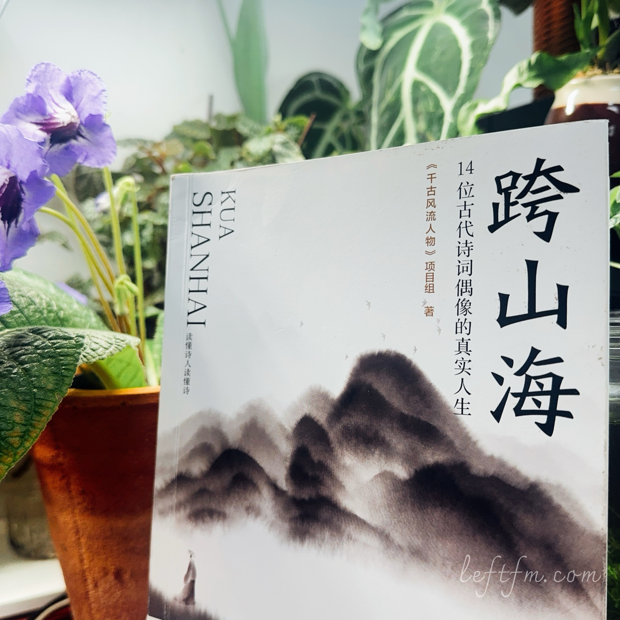 跨山海：当明灭闪动变成了字里行间